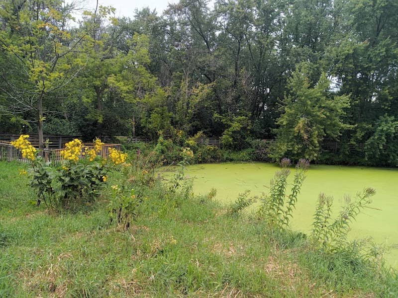 William E. Brook Memorial Wetland - Image 2