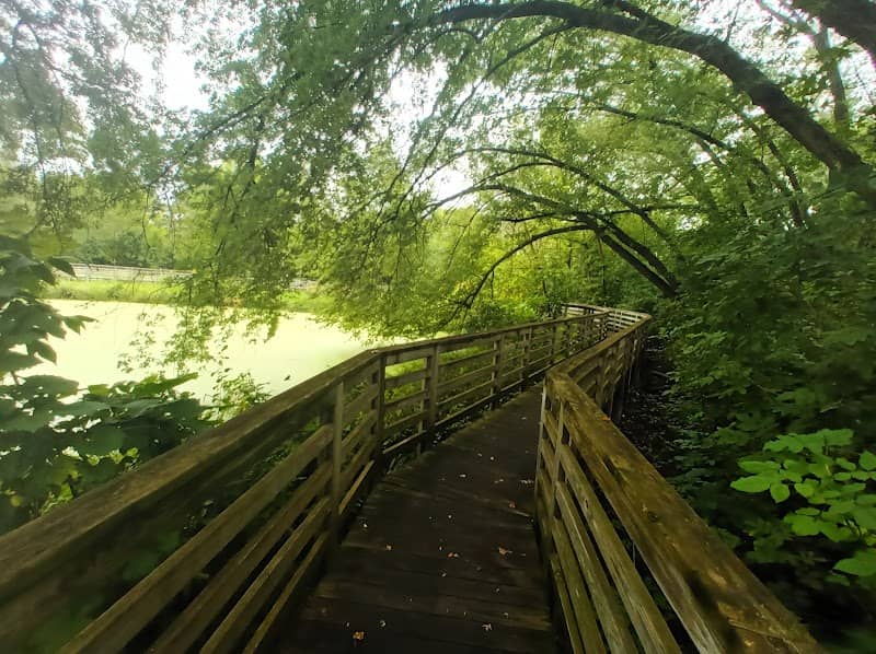 William E. Brook Memorial Wetland - Image 1
