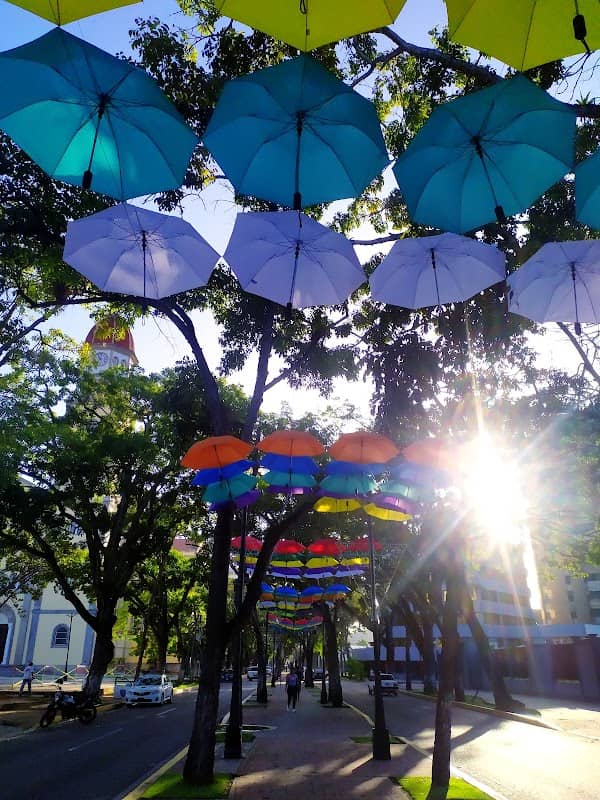Paseo Bolivar - Image 1