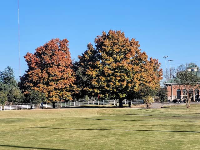 Hobson Grove Park - Image 3