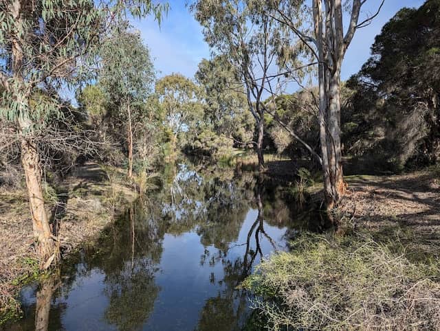 Lightning Swamp Bushland - Image 1