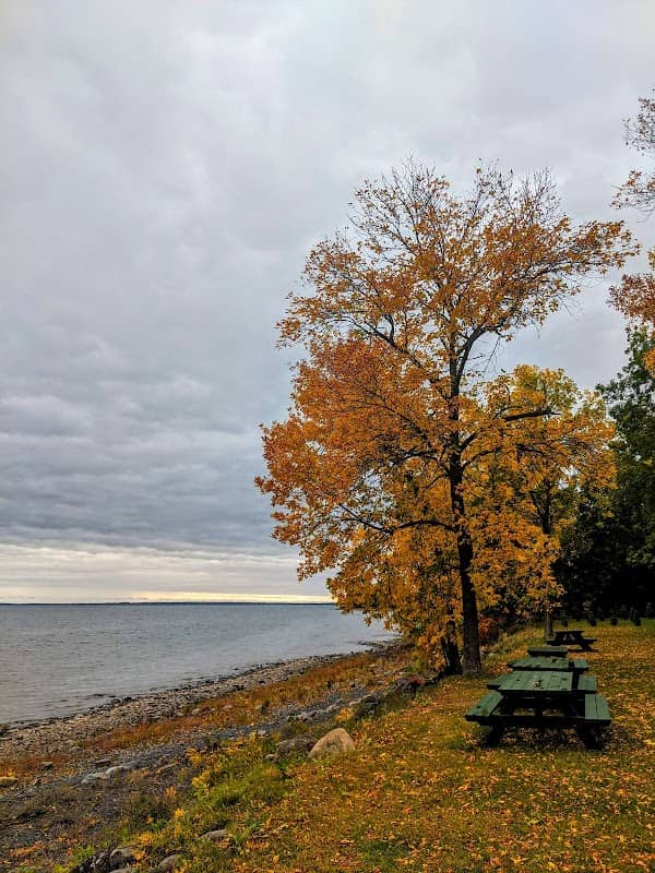Cohen Park - Image 1