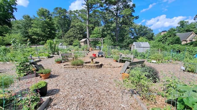 Henderson Park Community Garden - Image 2