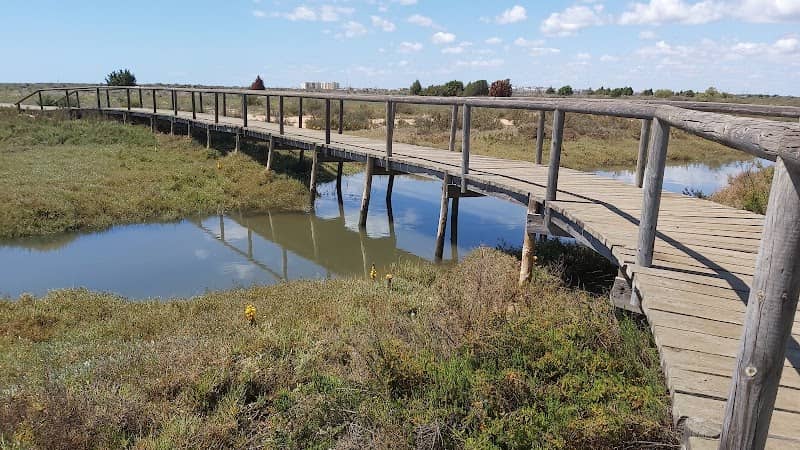 Marismas del Odiel - Image 1
