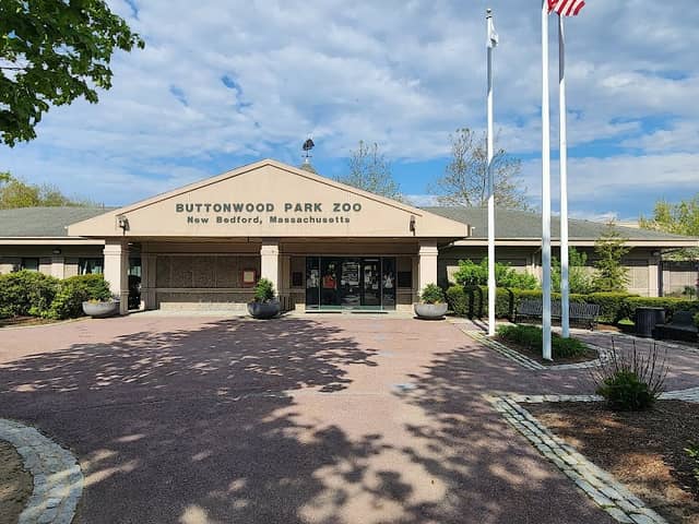 Buttonwood Park Zoo - Image 1