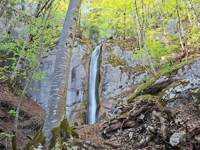 Cascade - Image 1