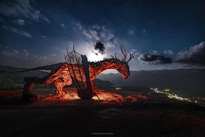 Drago Vaia Regeneration - Image 1