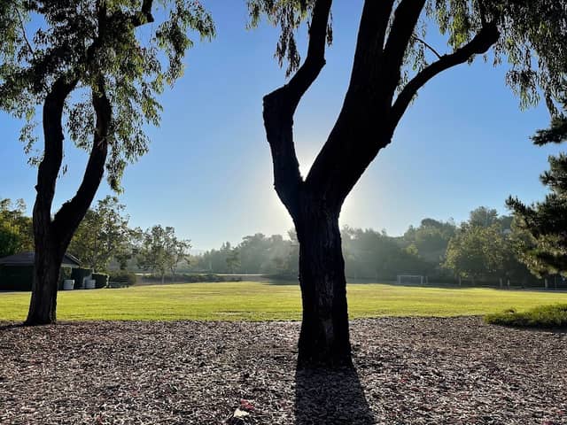 Campus Canyon Park - Image 4
