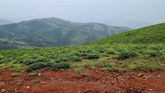 Gaali Gudda in Kyatanamakki - Image 3