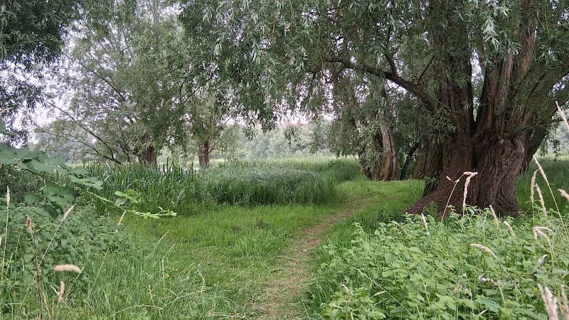 Castle on the Hill video location - Image 3