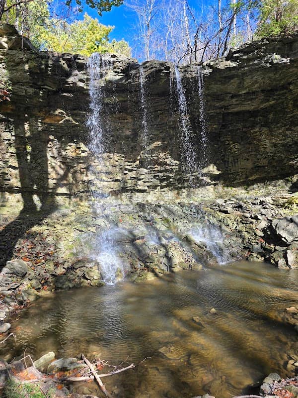Charleston Falls Preserve - Image 1
