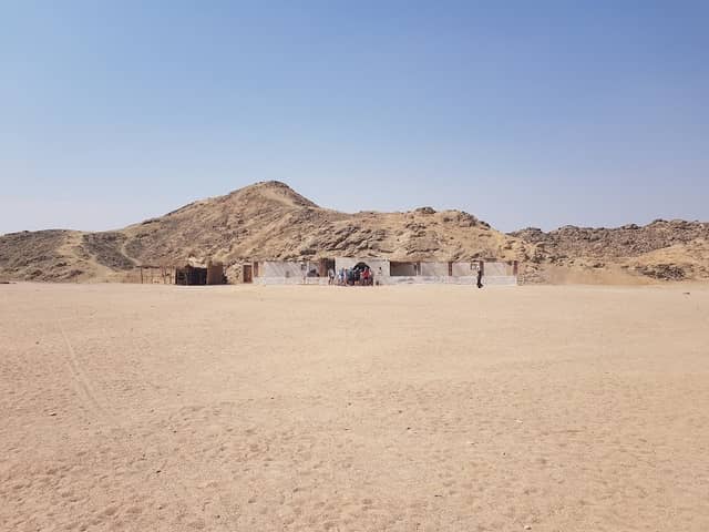 MAGIC SAFARI - Image 2