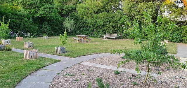 Community Memory Orchard - Image 2