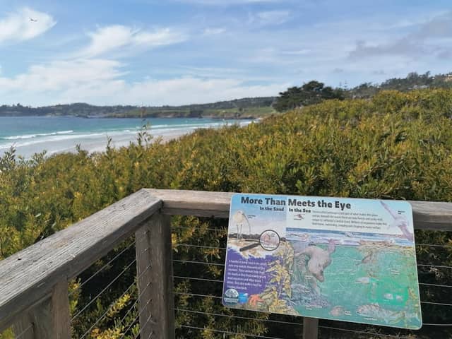 Carmel Sunset Beach Viewpoint - Image 1