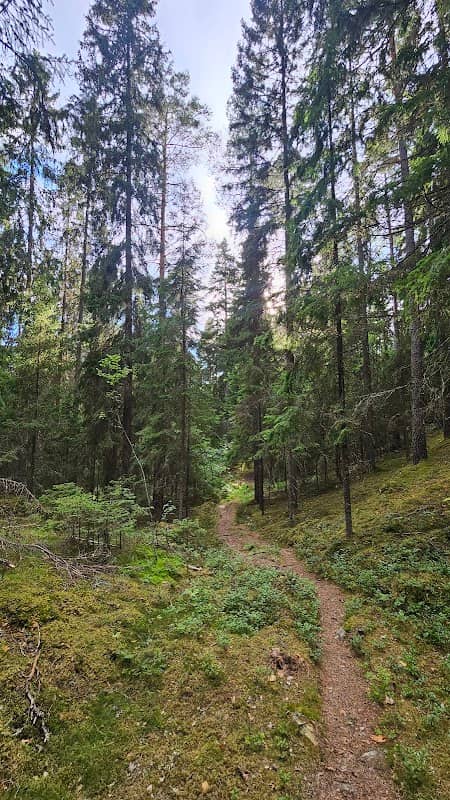 Elljusspår - Image 1