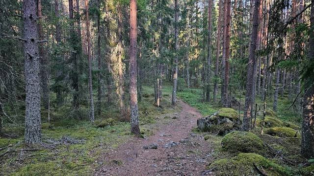 Elljusspår - Image 2