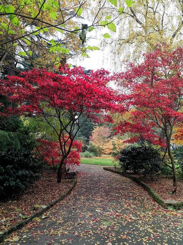 Rockley Memorial Park - Image 2