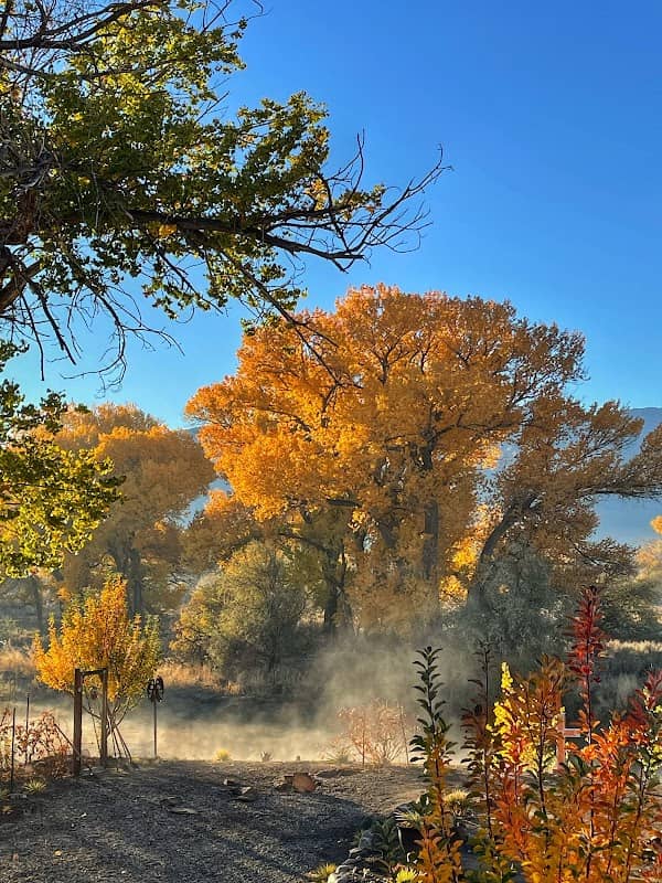 Dayton State Park - Image 1