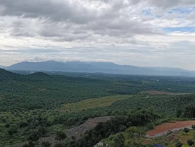 The TL House Puncak Bukit Birut - Image 1