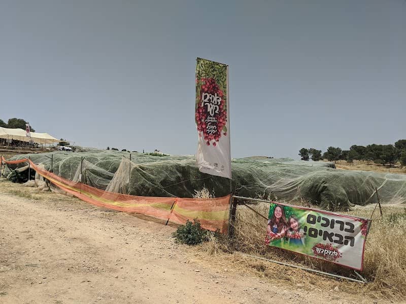 תיירות חבל יתיר - Image 3