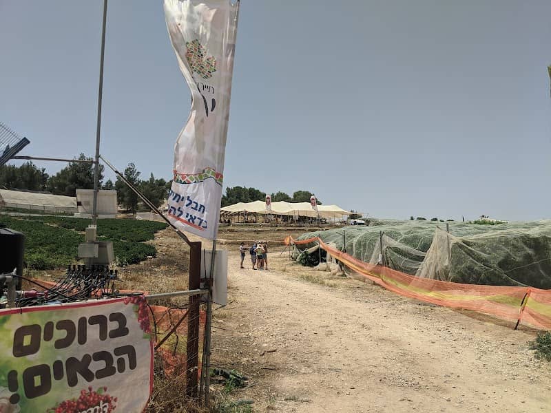 תיירות חבל יתיר - Image 2