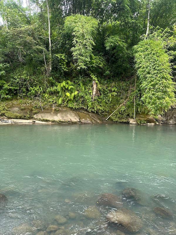 Tukad Salak Penyaringan - Image 1
