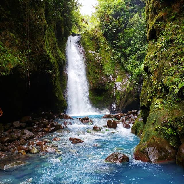 Tropical Escapade - Image 1