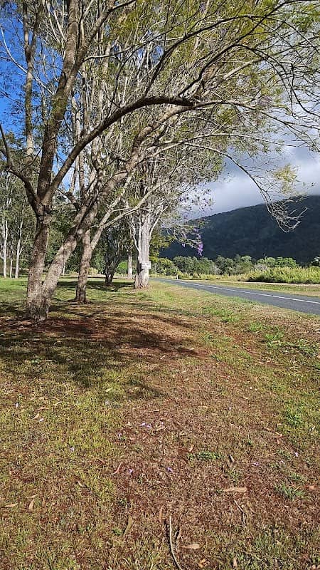 Netherdale Cane Lift Park - Image 2