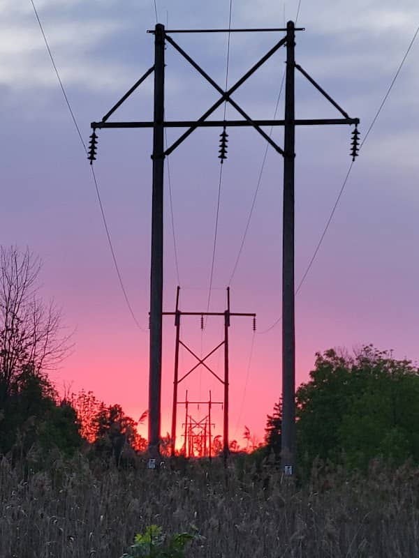 East River Trail - Image 1