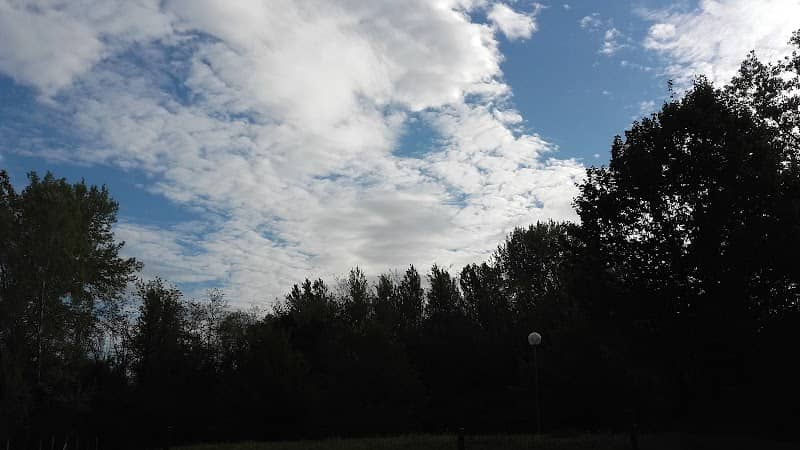 Parco Di San Piero A Sieve - Image 1