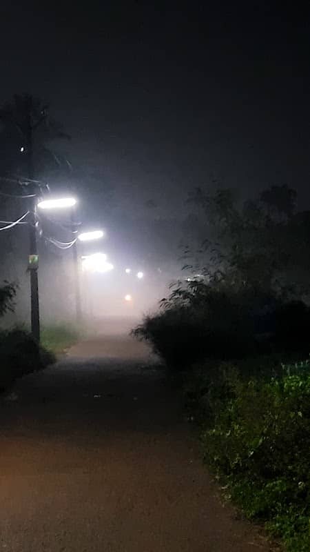 Kotamuri vayal - Image 1