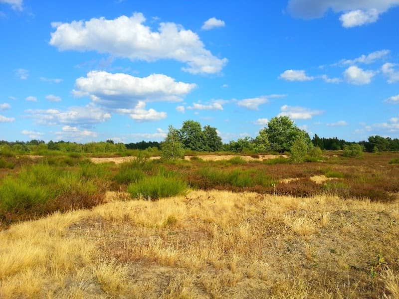 Sielmann Nature Park Döberitz Heath - Image 1