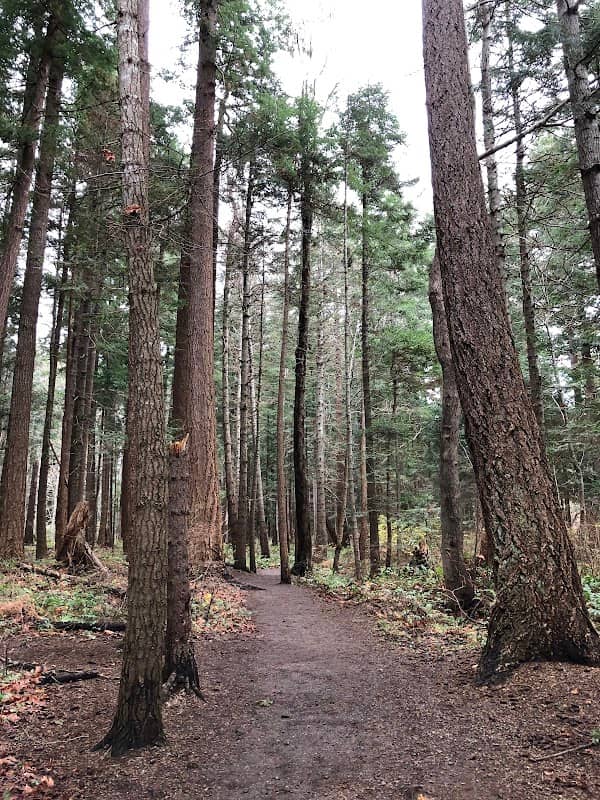 MacDonald Wood Park - Image 2
