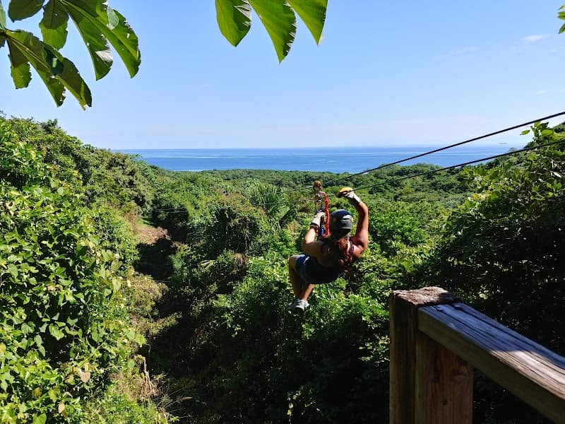 South Shore Canopy Zipline - Image 2