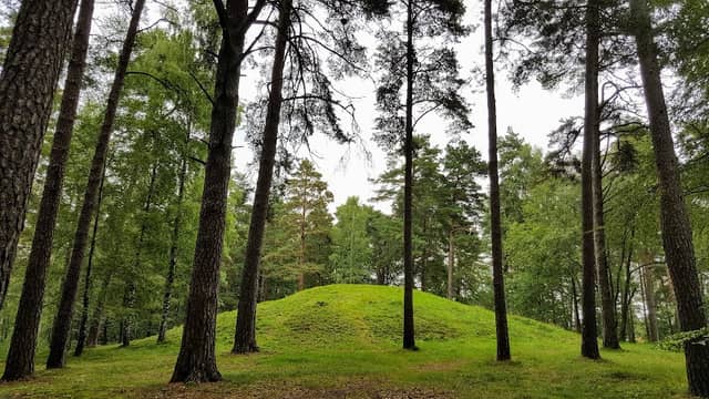 Kungshögen - Image 2