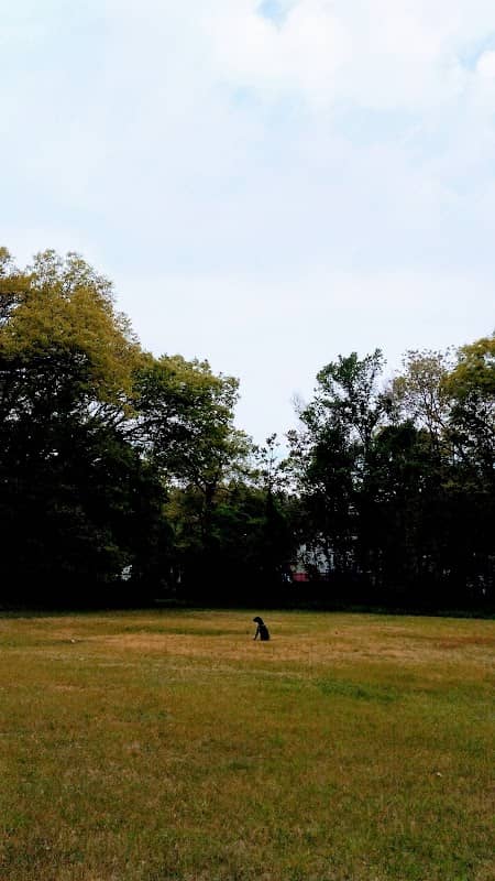 Lions Park - Image 2