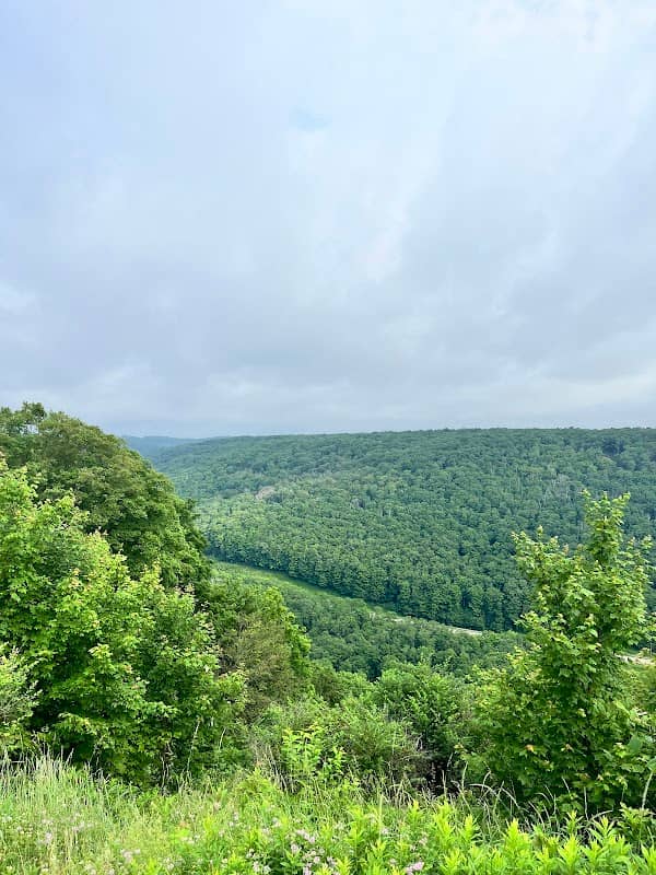 Denton Hill State Park (Denton Go) - Image 2
