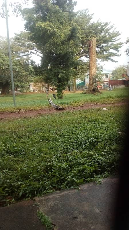 Nsibirwa Grounds - Image 1