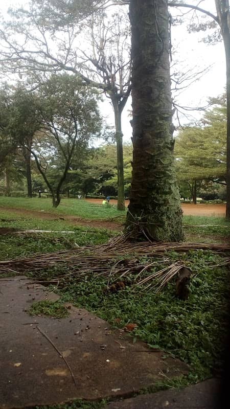 Nsibirwa Grounds - Image 2