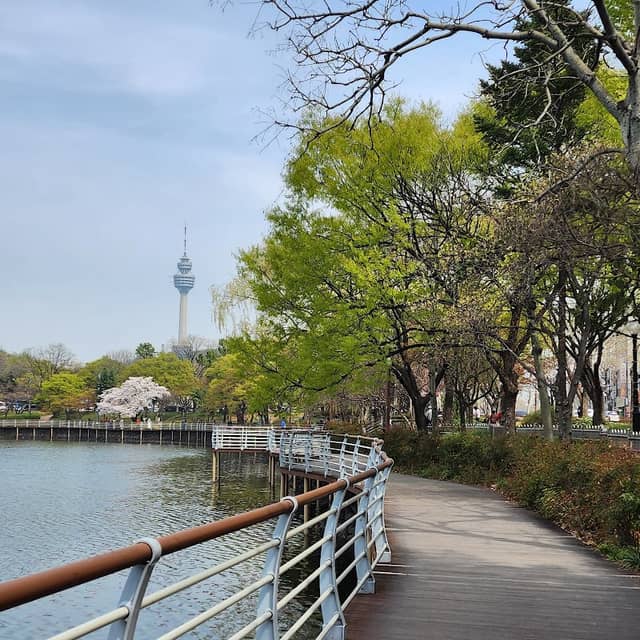 성당못 - Image 1