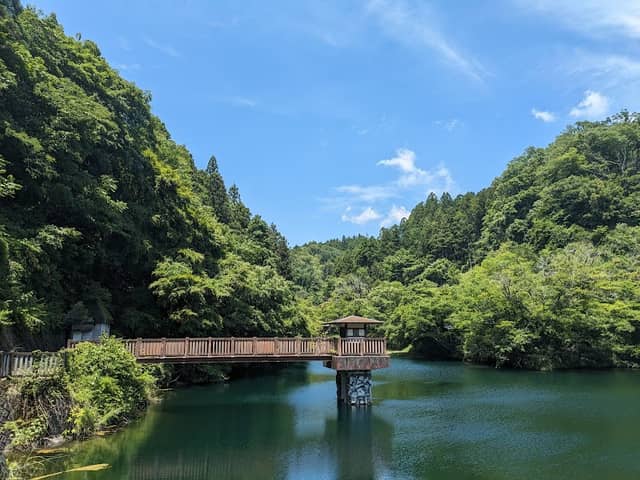 八重桐の池 - Image 1