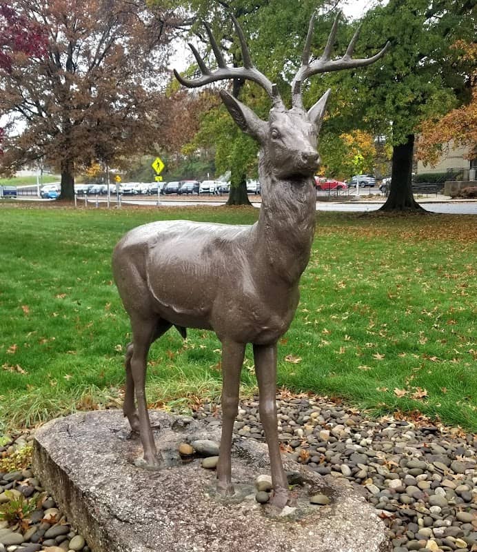 Court House Deer - Image 1
