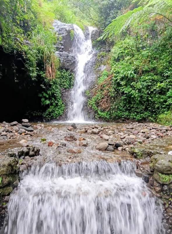 Tirto Wening Waterfall - Image 1