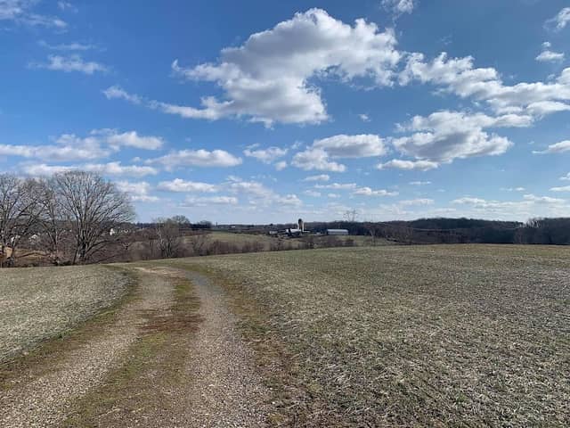 First Day at Chancellorsville Battlefield - Image 3