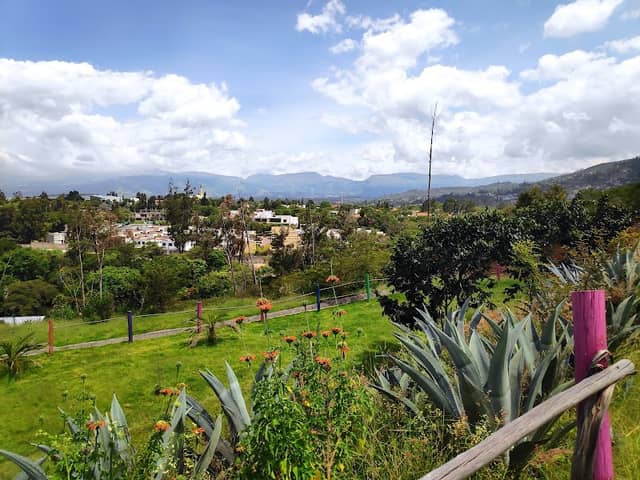 La Primavera Ecological Park - Image 2