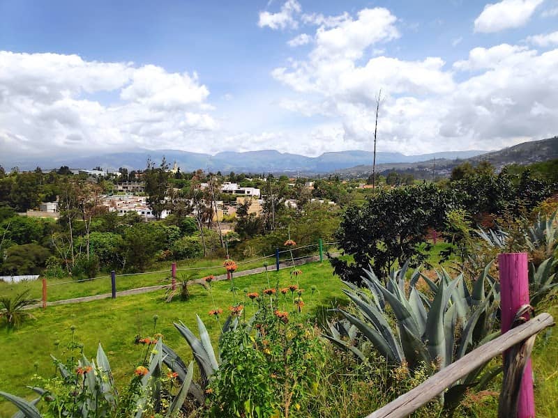 La Primavera Ecological Park - Image 2