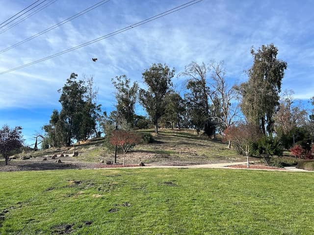 Eucalyptus Hill - Image 1