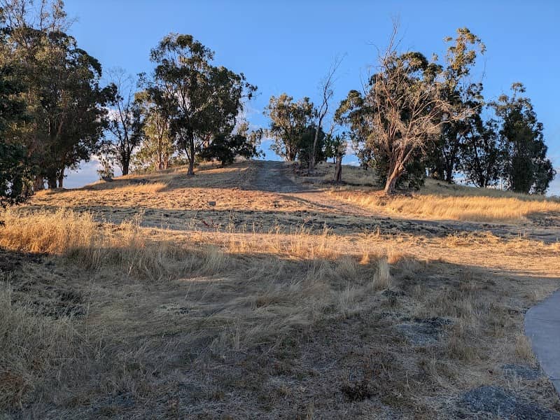 Eucalyptus Hill - Image 2