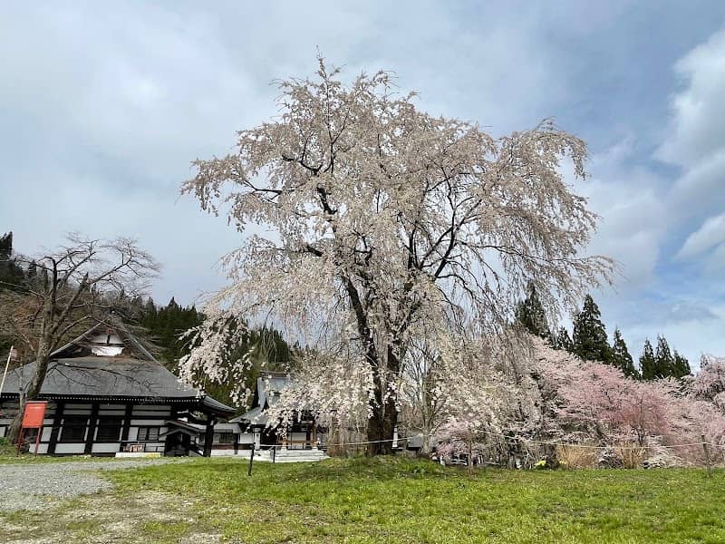 貞麟寺 - Image 2