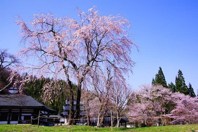 貞麟寺 - Image 1
